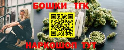 МДПВ Камышлов