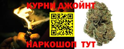МДПВ Камышлов
