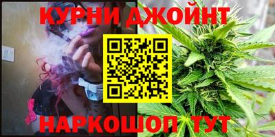 МДПВ Камышлов