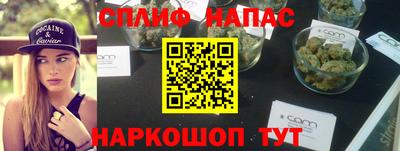 МДПВ Камышлов