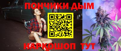 МДПВ Камышлов