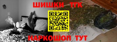 МДПВ Камышлов