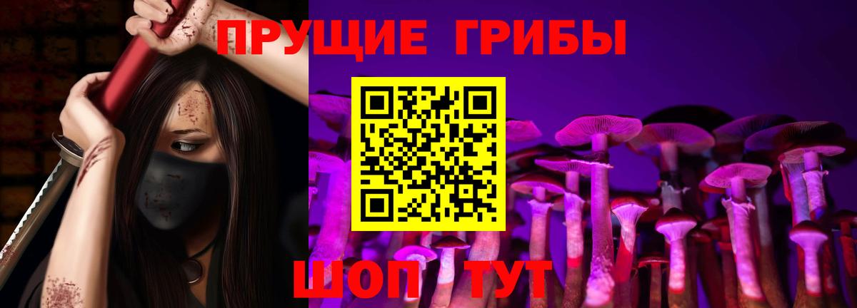 Галлюциногенные грибы прущие грибы Кстово