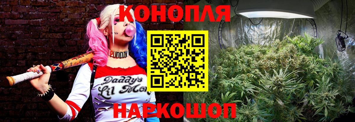 Шишки марихуана семена  Бошки марихуана ГИДРОПОН  Кстово  Каннабис индика  Вход с VPN 